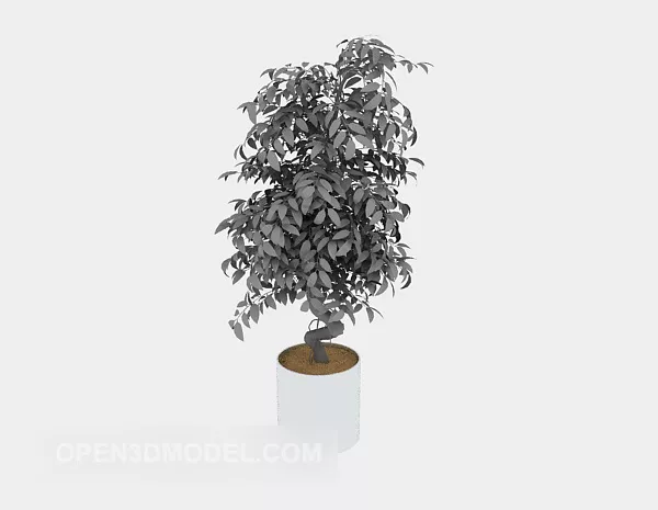 Potted Tree Office Room Decorative 3d model Potted Tree Office Room Decorative 3d model