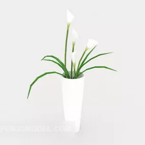 Plant Potted Minimalist 3d model