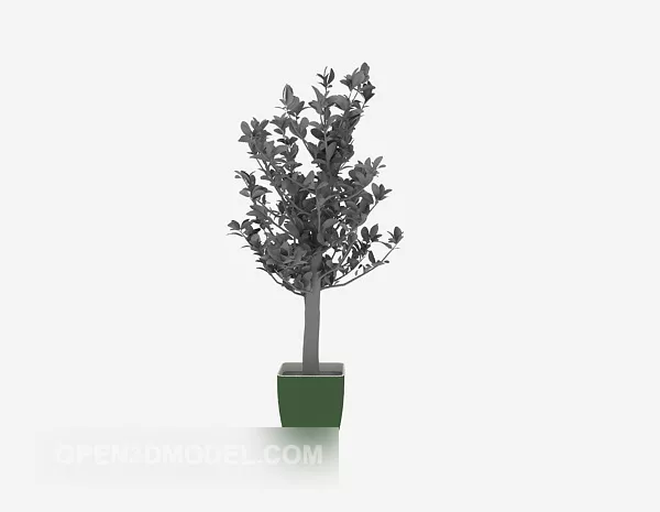Potted Plants Decor 3d model Potted Plants Decor 3d model