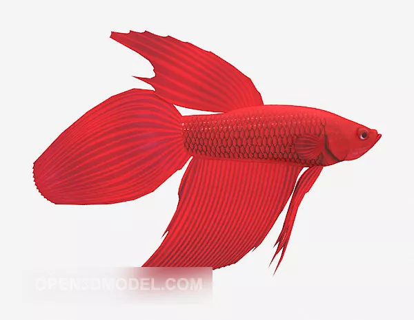 Red Goldfish Animal 3d model Red Goldfish Animal 3d model