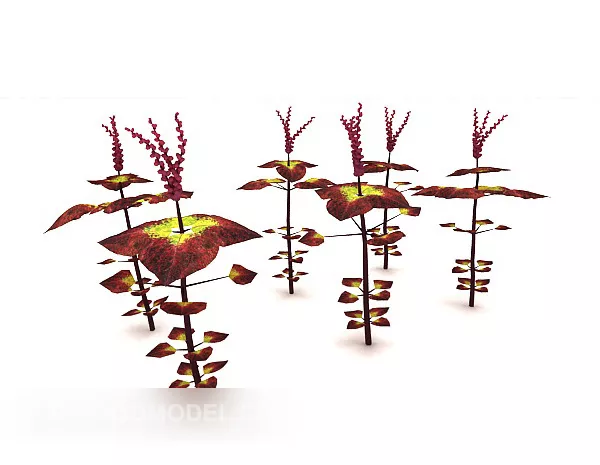 Green Fig Leaf Plant 3d model