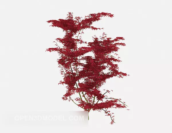 Red Leaf Plant Tree 3d model Red Leaf Plant Tree 3d model