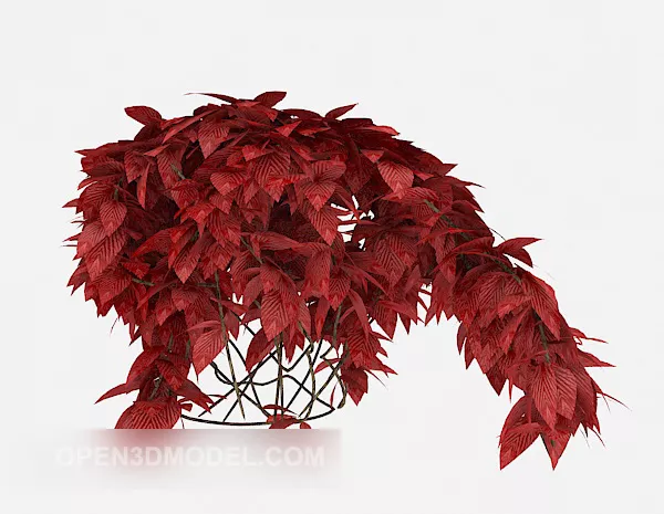 Red Ornamental Plant 3d model Red Ornamental Plant 3d model