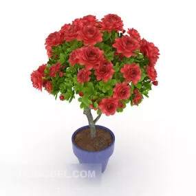 Red Indoor Potted Plant 3d model