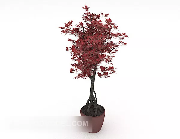 Red Leaf Potted Plant Decoration 3d model Red Leaf Potted Plant Decoration 3d model
