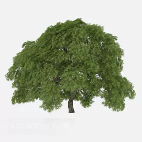 Garden Plant Tree Broad Leaf 3d model