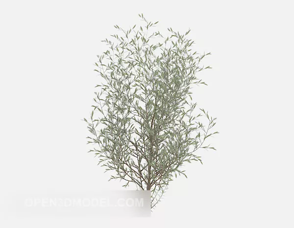 Roadside Green Leaf Plant Tree 3d model Roadside Green Leaf Plant Tree 3d model