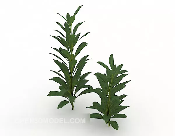 Roadside Wild Green Plant 3d model Roadside Wild Green Plant 3d model