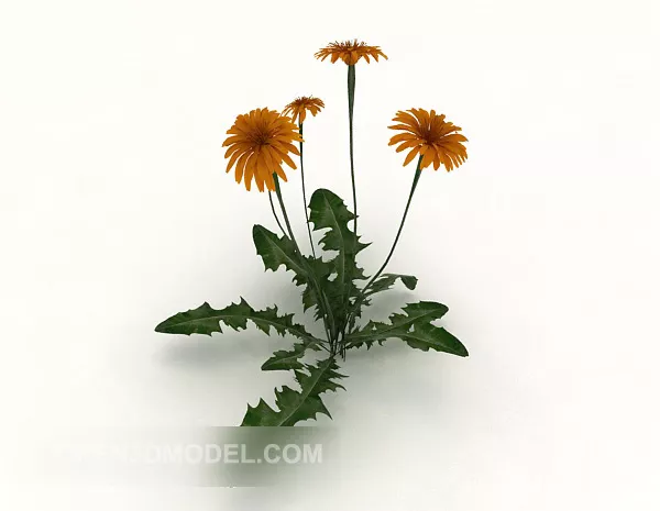 Pink Tiger Lily Flower 3d model