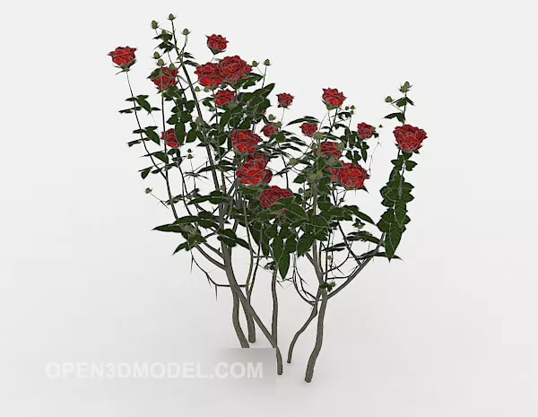 Rose Vase Pot With Reflection 3d model