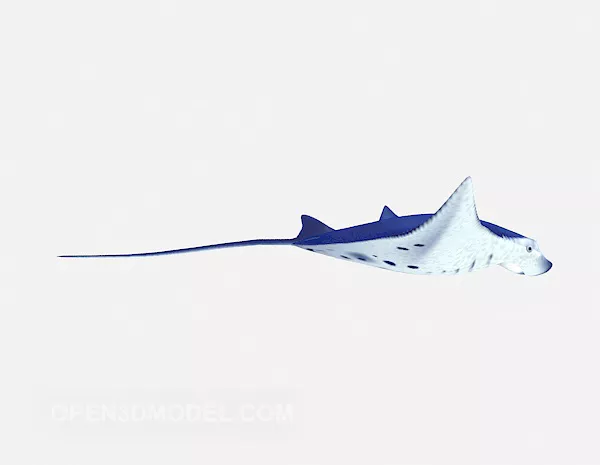 Stingray 3d model Stingray 3d model