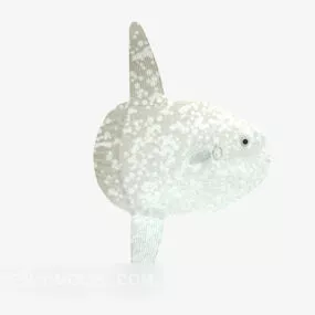 Sea Fish White Color 3d model