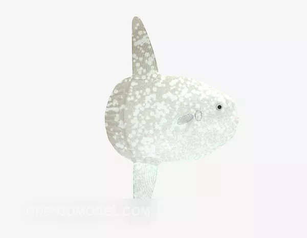 Rockfish Animated Rigged 3d model