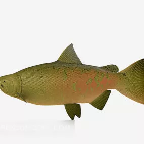 Seafish Aquarium 3d model