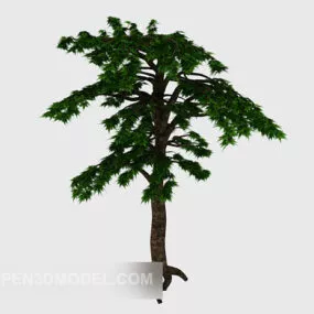 Serity Ancient Sapling Plant 3d model
