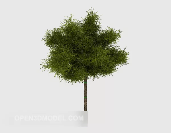 Simple Common Green Sapling 3d model Simple Common Green Sapling 3d model