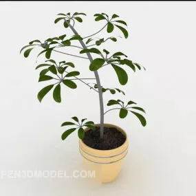 Simple Courtyard Potted Plant 3d model