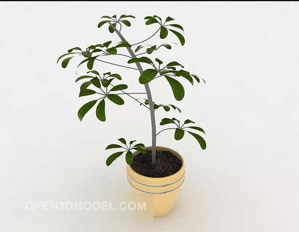 Simple Courtyard Potted Plant 3d model Simple Courtyard Potted Plant 3d model