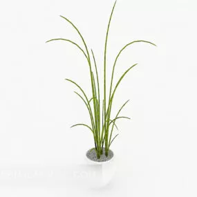 Simple Generous Potted Plant 3d model