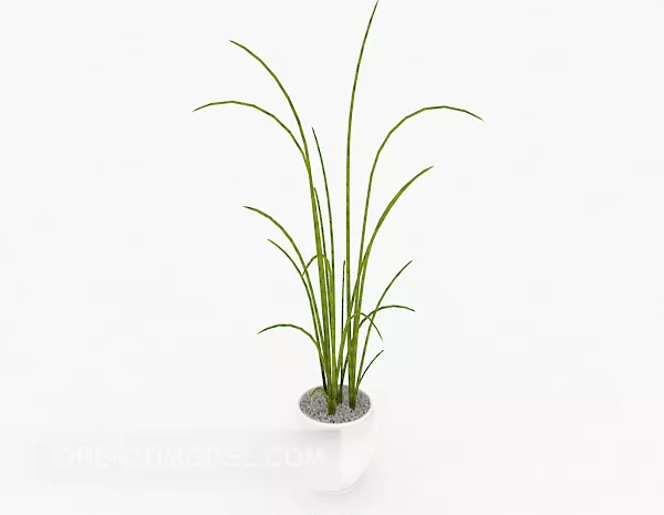 Simple Generous Potted Plant 3d model Simple Generous Potted Plant 3d model