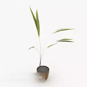 Simple Home Potted 3d model