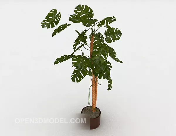 Simple Indoor Bonsai Tree 3d model Simple Indoor Bonsai Tree 3d model