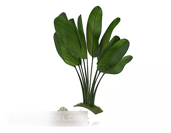 Indoor Potted Plant Decoration 3d model Indoor Potted Plant Decoration 3d model