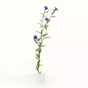 Single Plant Flower 3d model
