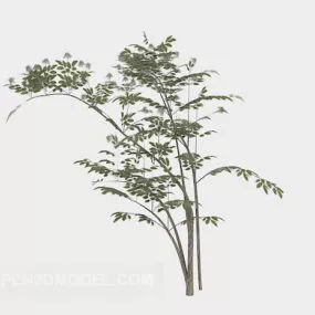 Slim Green Branch Tree 3d model