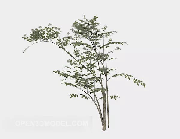 Slim Green Branch Tree 3d model Slim Green Branch Tree 3d model