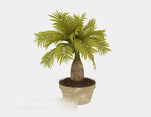 Small Palm Tree Furniture 3d model Small Palm Tree Furniture 3d model