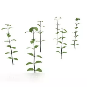 Small Sapling Tree 3d model