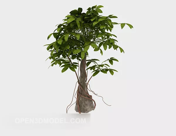 Small Tree Garden Plant 3d model Small Tree Garden Plant 3d model