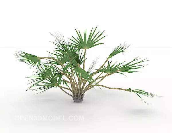Small Conifer Plan 3d model Small Conifer Plan 3d model