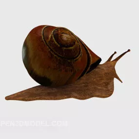 Garden Snail Animal 3d model
