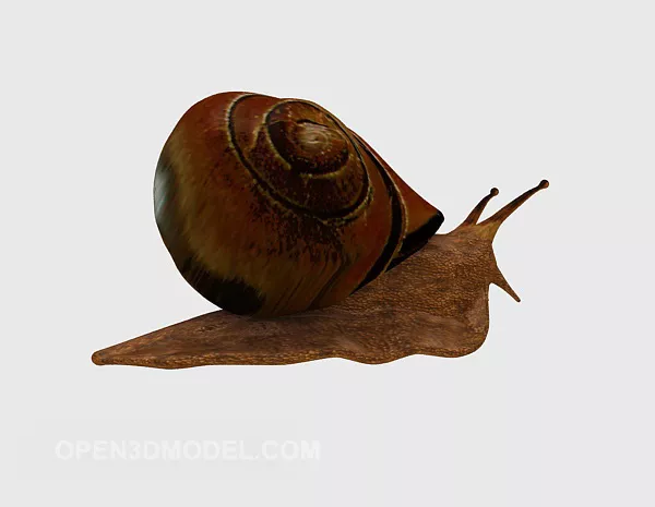 Garden Snail Animal 3d model Garden Snail Animal 3d model