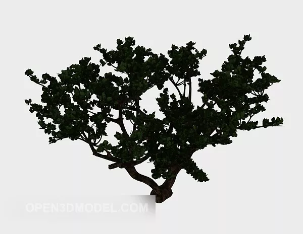 Broad Leaf Garden Tree 3d model Broad Leaf Garden Tree 3d model