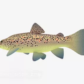 Aquarium Dotted Yellow Fish Animal 3d model