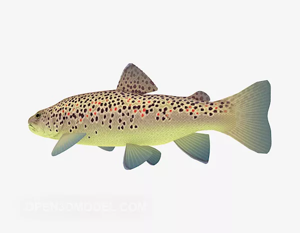 Rainbow Colorful Guppy Fish 3d model