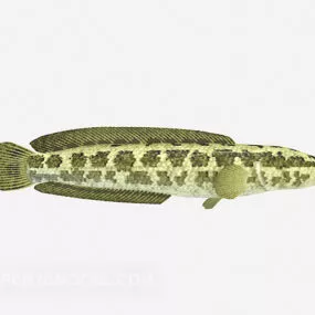 Spotted Long Fish Animal 3d model