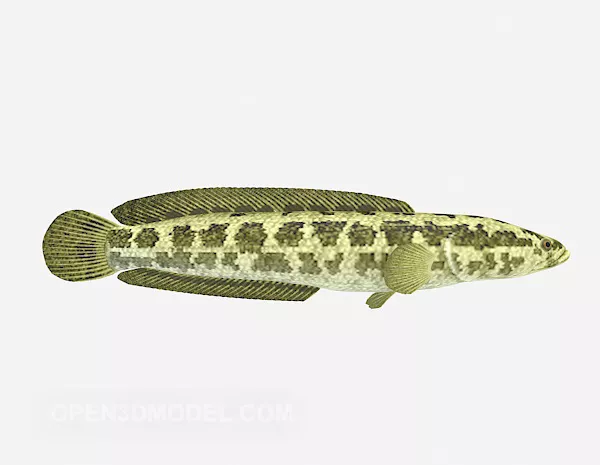 Spotted Long Fish Animal 3d model Spotted Long Fish Animal 3d model