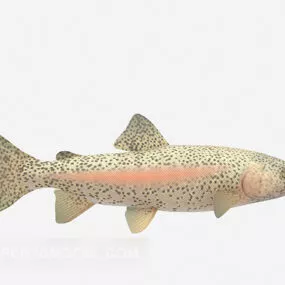 Spotted Fish Aquarium Animal 3d model