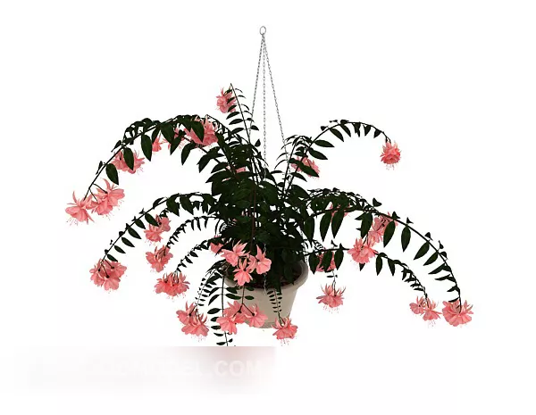 Rose Flower 3d model