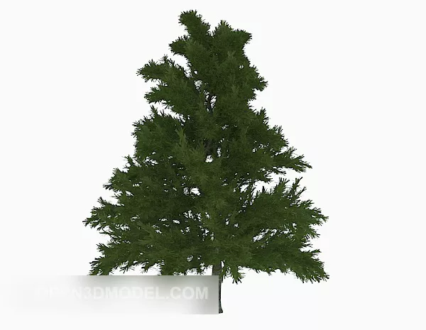 Nature Tall Pine Tree 3d model Nature Tall Pine Tree 3d model