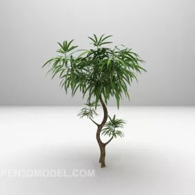 Beauty Tree 3d model
