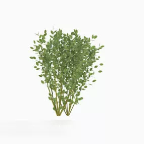 Tree Green Plant 3d model