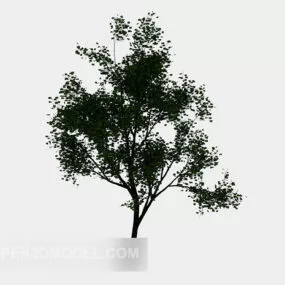 Big Tree Planting 3d model