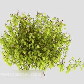 Tree Branches Bush 3d model