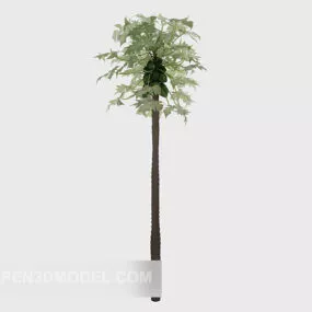 Tropical High Tree 3d model