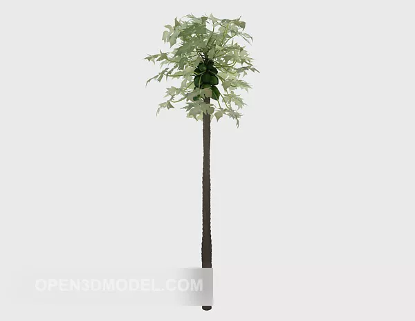 Tropical High Tree 3d model Tropical High Tree 3d model